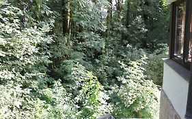 FeWo Harling - Waldsamkeit